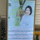 자연미인에스테틱 이미지