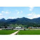 참깨비마을 이미지