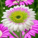 12월 10일 수요일 간추린 뉴스와 날씨 이미지