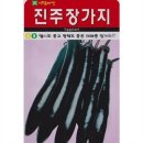 진주장 이미지