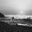 호사유피 이미지