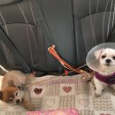 방배한강동물병원 이미지