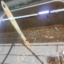 덕신상회 이미지