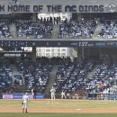 나노그람 | 벚꽃의 꽃말은 개막