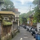 만수국 | BALI 11 :: 좋아하는 색을 모아💚❤️💙💛