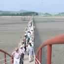 증도갯벌생태전시관 이미지