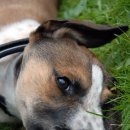 성남동물병원 이미지