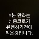 비고리조트 11 이미지