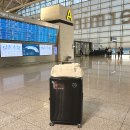 아따PC | 28인치 대형 캐리어 추천 아메리칸투어리스터 제미나프로 내돈내산