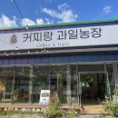 애견가을농장 이미지