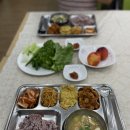 초록꿈틀마을 | 초록꿈틀마을 서산 농촌 체험 추천 농식품부 으뜸촌 다녀오다