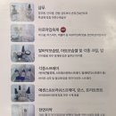 휴먼앤펫 이미지