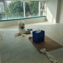 수성월드 이미지