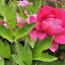 석남3동 행정복지센터 이미지