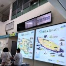 모슬포한의원 브런치