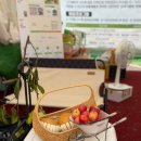 금강공원4 | 2025 공주 백제문화제, 공산성·금강신관공원 축제 후기