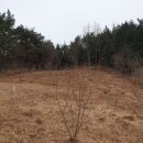 남해농장 이미지