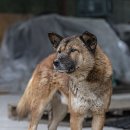 검산 농장 이미지