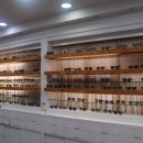 세명안경.콘택트 이미지