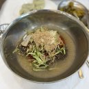 여수 세숫대야 냉면 맛집 : 한국가나식당 현지인 추천 냉면집 🥶 내돈내산 후기