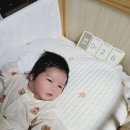 호현로489번길 | ::현대해상 태아보험,실비보험금 수령 후기:: 신생아 심장잡음 심장초음파, 증상, 원인, 부천 세종병원...