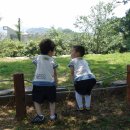 무궁화어린이집 이미지