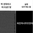 클라이밍강릉