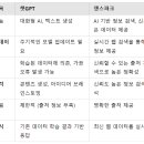 피티젠