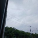 어필즈