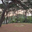 완도 고금도 관왕묘비 이미지