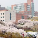 영수공감