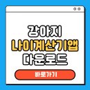 DOG PC | 강아지 나이 계산기 앱 다운로드 홈페이지 사용 방법 총정리