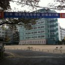 경희유치원 앞 이미지