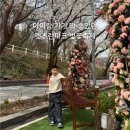 포니랜드 | 렛츠런파크 서울벚꽃축제 아이동반 포니랜드 경마공원 후기 꿀팁