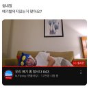 별내이마트약국 | 모든걸 이겨낸 우리 , 울산현대 3연패 별이 다섯개💙/ 가평여행 / 이마트 쓱데이 후기