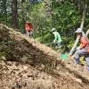 소치농장 이미지