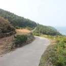 공룡화석지해변길 Daum카페