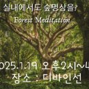 요정 숲! 아로마 원데이.1월 19일, 일요일,-서명진님(아로마전문티처) 이미지