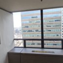 우솔약품 이미지