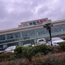 제주늘봄 이미지