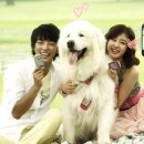 몽글몽글 이미지