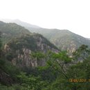 무릉도원 이미지