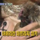 닭300