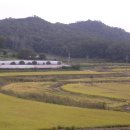 착한고기 이미지