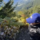 해피하이킹 이미지