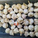 홍산농약 이미지