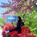 부산칸트리클럽 이미지