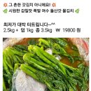 시원하고 감칠맛 있는 갓 물김치 이미지