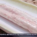 신도카센타