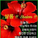 샬롬